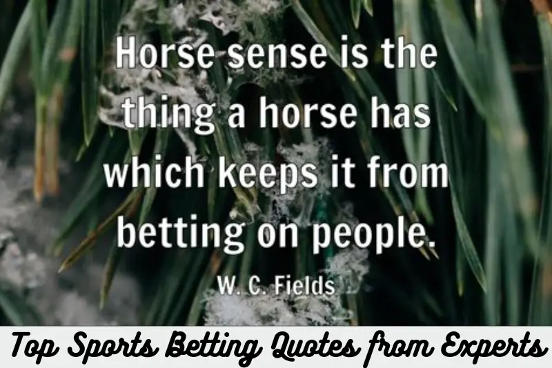 top sports betting quotes from experts
