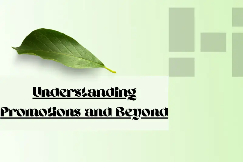 understanding promotions and beyond